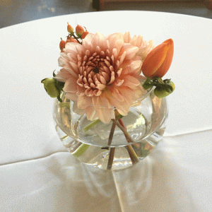 designshadow-flowers-peach